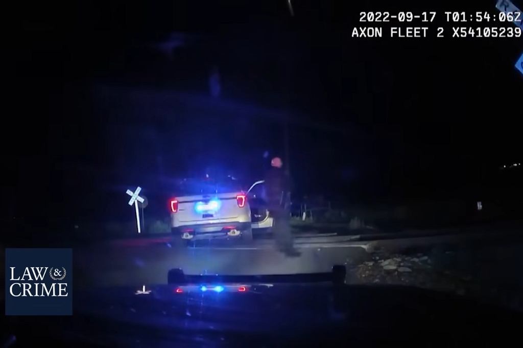 Женщина в наручниках заперта в полицейской машине. Внезапно прибыл поезд