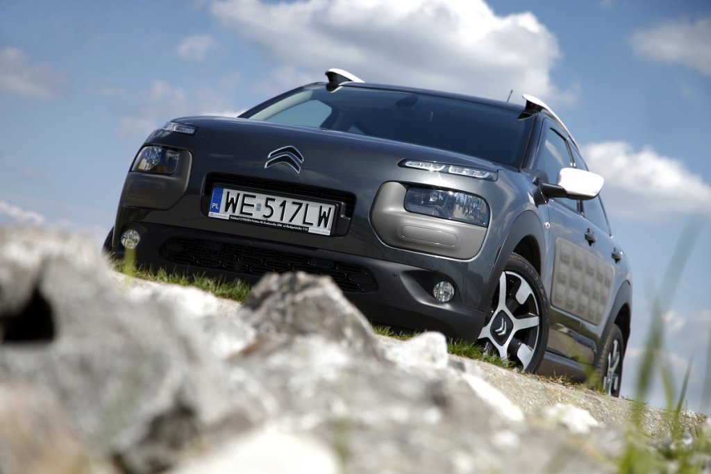 Citroen C4 Cactus PureTech 110 | Тест | Прогулка с чау-чау