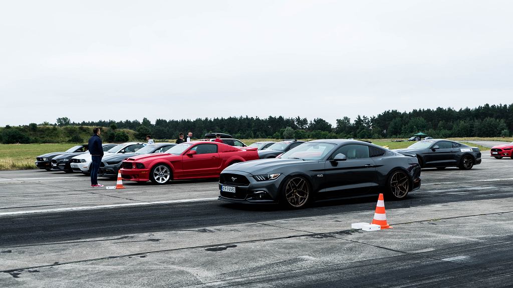 Рожденный страстью – Ford Mustang Mach-E в руках автолюбителей