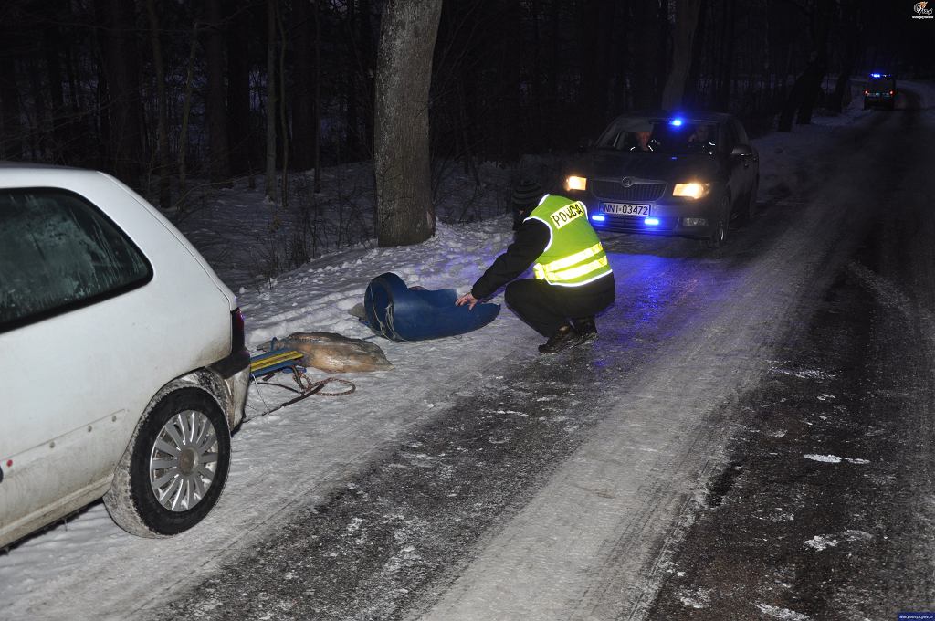 Поездка на санях под Эльблонгом закончилась врезанием в дерево. 15-летняя девочка борется за свою жизнь в больнице