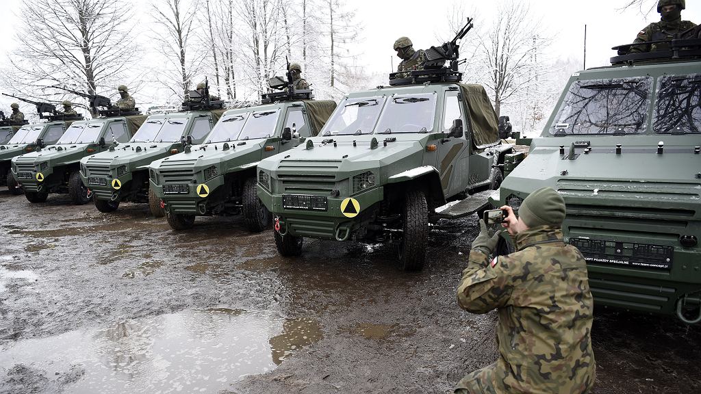 Армия выбрала польское Жмие. Первые автомобили переданы армии