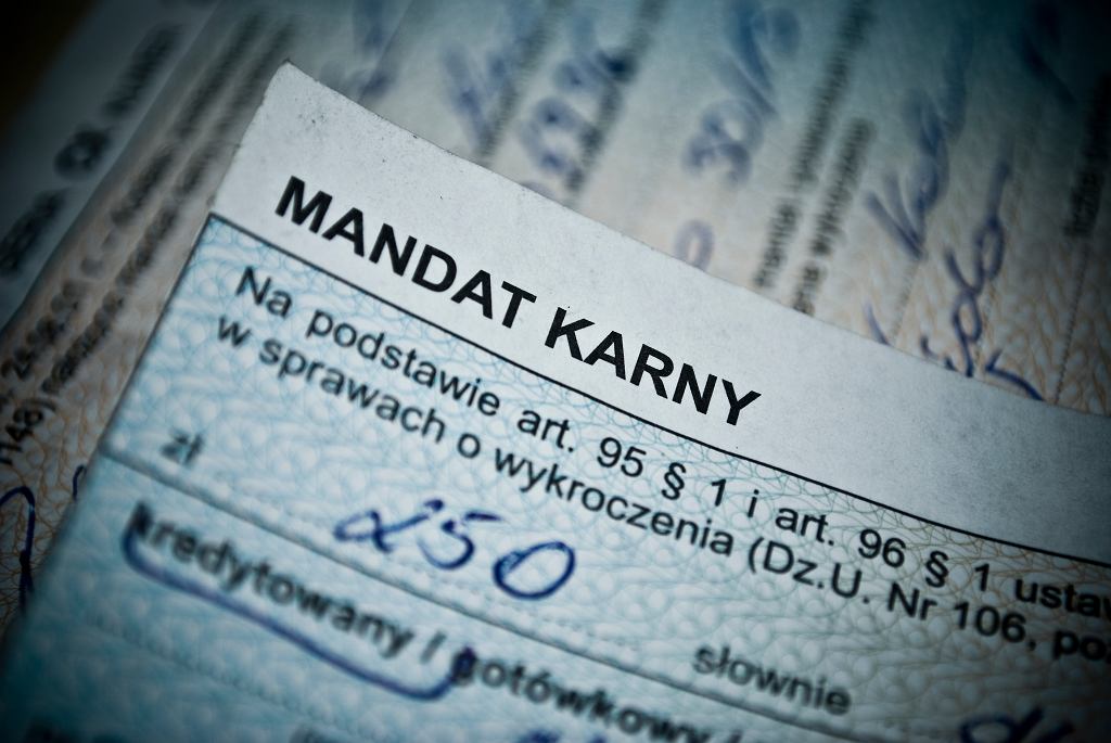 Срок исковой давности по штрафным баллам под контролем Уполномоченного по правам человека. Положения не соответствуют Конституции?