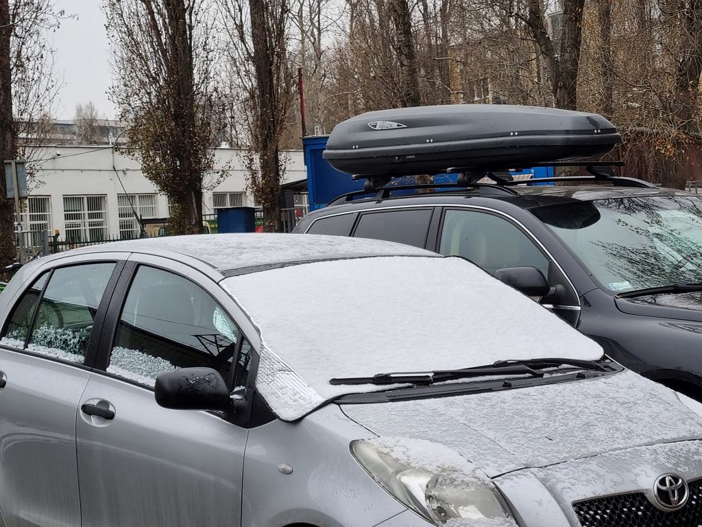 Зимой на автомобилях появляются такие коврики. Что это такое? Как водители справляются со штрафами и заморозками
