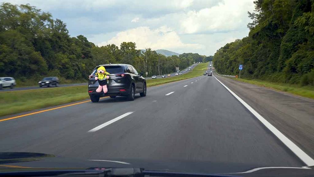 Большой розовый плюшевый мишка – это не шутка. Серьезный тест IIHS. Водители подвергнуты цензуре