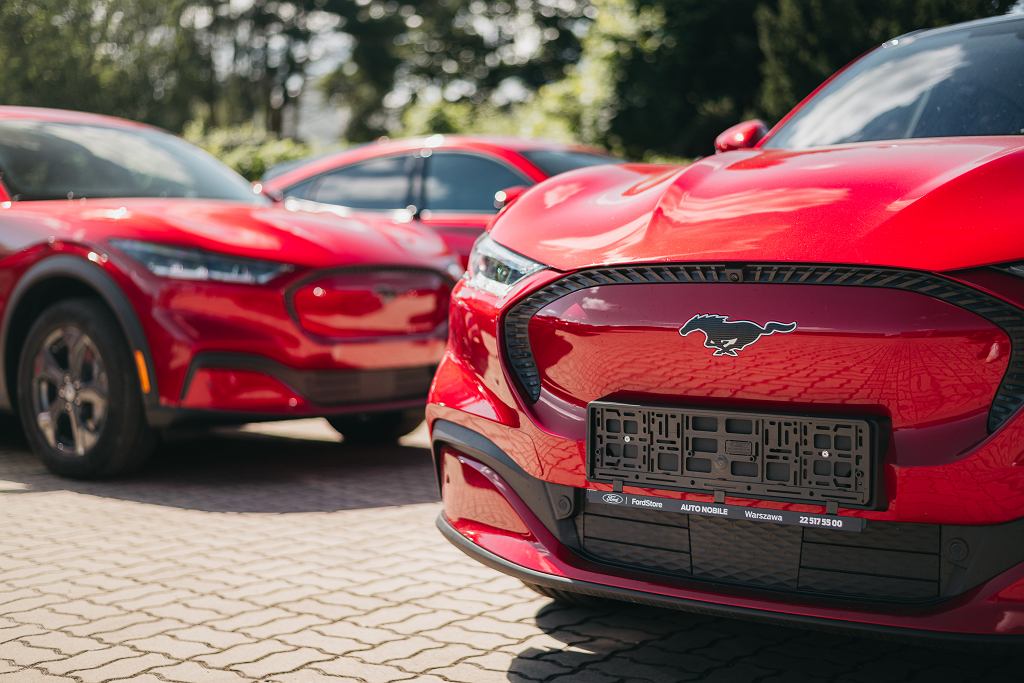 Mustang Mach-E пользуется большой популярностью. Он присоединился к флоту Арваля.