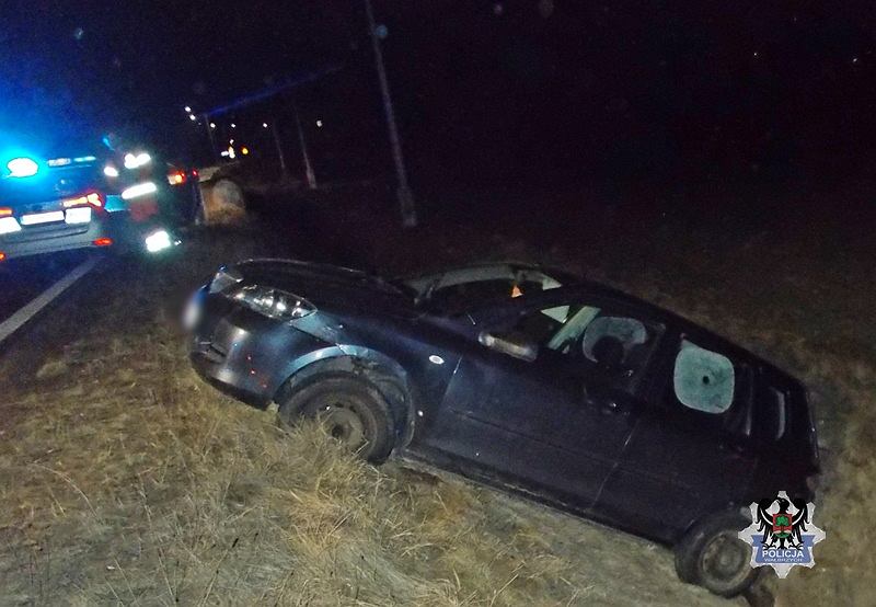 Пьяный мужчина выбежал на дорогу. Водитель упал в кювет
