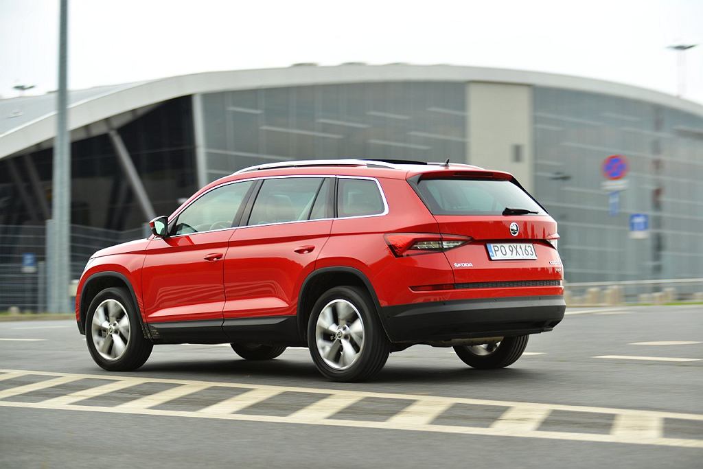 Не бывает розы без шипов. Список грехов нашего Skoda Kodiaq