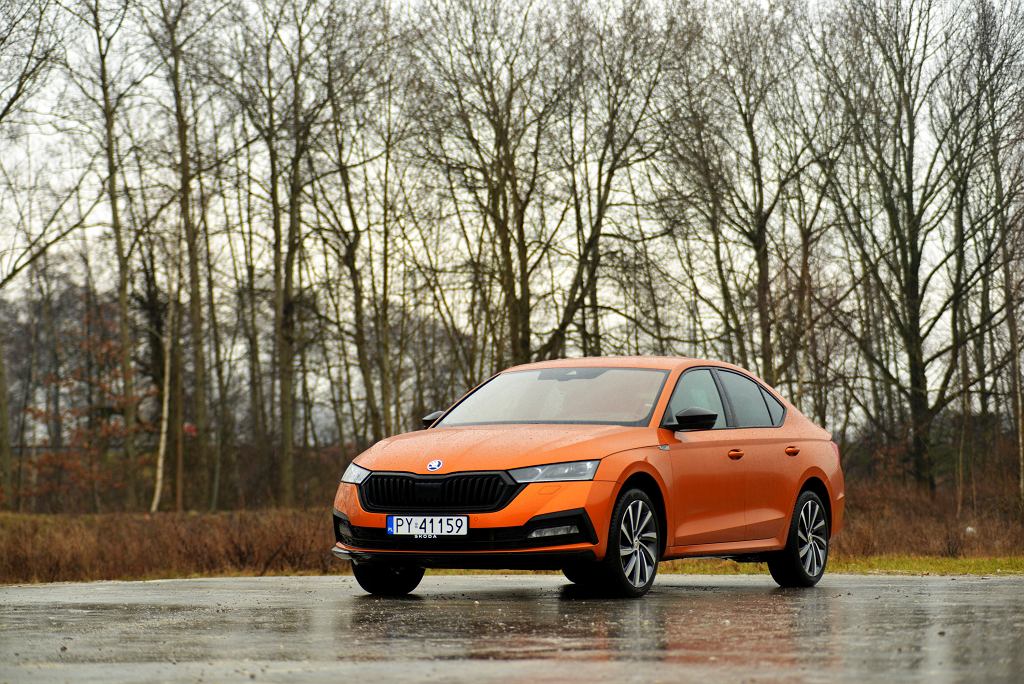 Сравнение Skoda Octavia 1.5 TSI e-Tec. Хонда Цивик Гибрид. Подходит для всей семьи, но экономично ли?