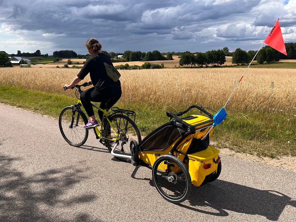 Мнения Moto.pl: Thule Chariot Sport, прицеп и прогулочная коляска на каждый сезон