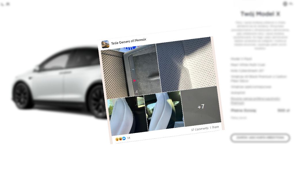 Она купила самую дорогую Tesla Model X Plaid. Вот так начался ее кошмар