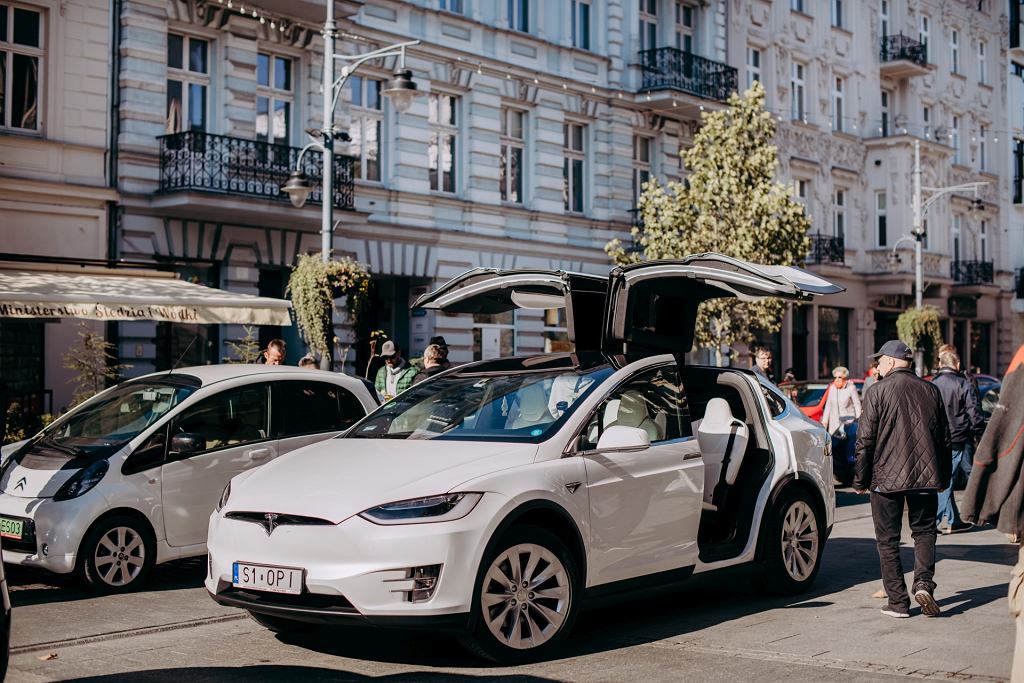Tesla S, 3, X и Y, мустанги, сайты и многое другое в Лодзи. Митинг, не похожий ни на один другой